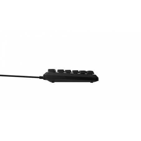 Klawiatura K55 Core TKL Backlit Zoned RGB LED 