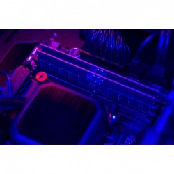 Pamięć DDR5 CUDIMM 16GB(1*16) 6400 CL52