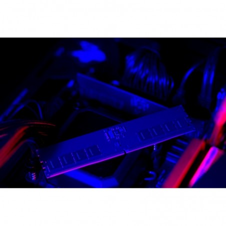 Pamięć DDR5 CUDIMM 16GB(1*16) 6400 CL52