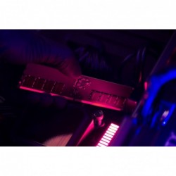 Pamięć DDR5 CUDIMM 16GB(1*16) 6400 CL52