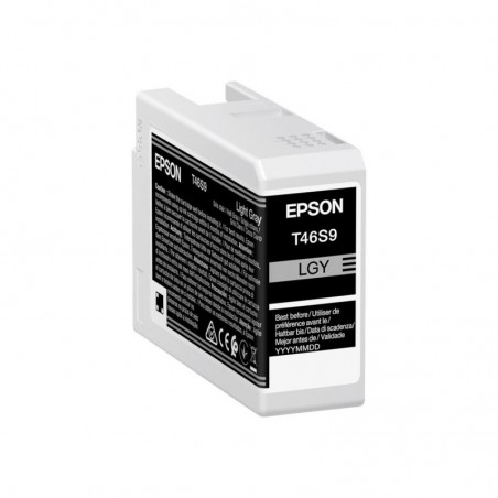 EPSON Singlepack Light Gray T46S9 UltraChrome Pro 10 ink 26ml