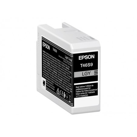 EPSON Singlepack Light Gray T46S9 UltraChrome Pro 10 ink 26ml