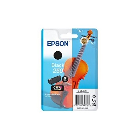 EPSON Singlepack Black 250 ink EPSON Singlepack Black 250 ink