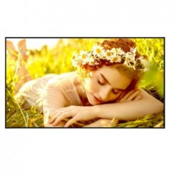 Monitor wielkoformatowy 55UL5Q-E 500cd/m2 UHD 24/7