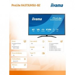 Monitor 43 cale X4373UHSU-B2 4K,VA,2xHDMI,DP,USBCdock (PD95W),       4000:1, USB HUB x4 (2x Type-A, 2x Type-C), KVM, 2 x 7W,450 