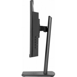 Monitor 24 cale XUB2490HSUH-B2 + Norton Small Business card 250G PL