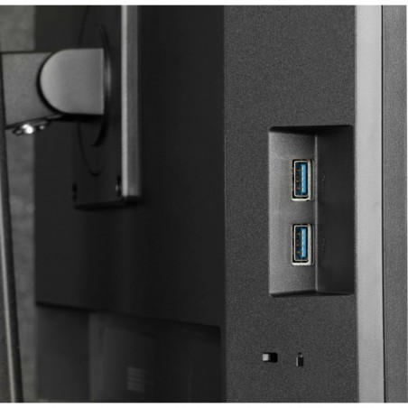 Monitor 24 cale XUB2490HSUH-B2 + Norton Small Business card 250G PL