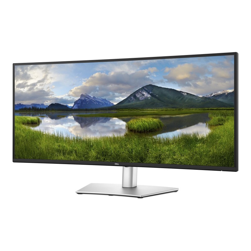 DELL Pro 34 Plus Monitor P3425WE 34.1inch WQHD IPS LED HDMI DP 4xUSB 1xUSB-C 90W PD RJ-45 3YPPG AE