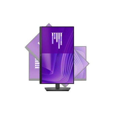 DELL Pro 24 Adjustable Stand Monitor E2425HSM 23.8inch FHD IPS LED HDMI DP VGA Speakers 3YPPG AE