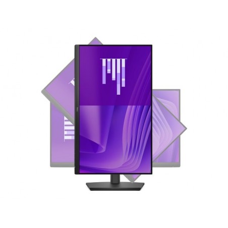 DELL Pro 24 Adjustable Stand Monitor E2425HSM 23.8inch FHD IPS LED HDMI DP VGA Speakers 5YPPG AE