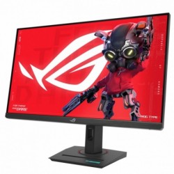 Monitor 27 cali XG27ACMEG ROG IPS QHD HDMI USB DP