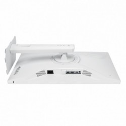 Monitor 27 cali XG27ACMES-W ROG IPS QHD HDMI USB DP