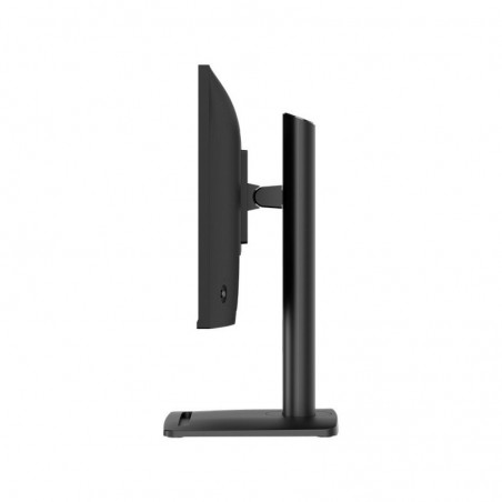 Monitor PRO MP245PGN E14 23.8 cala/LED/FHD/FLAT/144Hz/Czarny