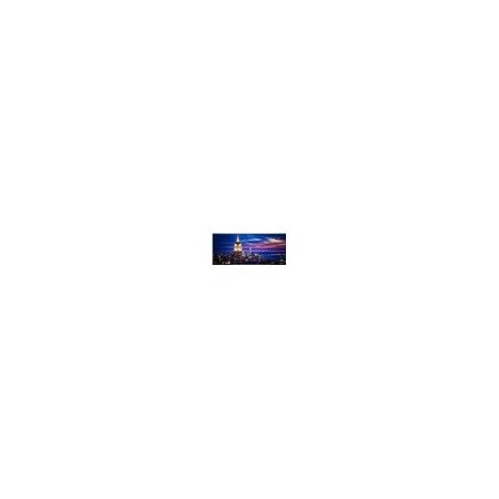 DELL UltraSharp 52 Thunderbolt Hub Monitor U5226KW 51.5inch 6K Curved IPS 2xHDMI 2xDP 5xUSB 5xUSB-C RJ-45 Speakers 3YPPG AE