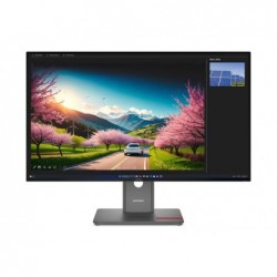 LENOVO ThinkVision P32UD-40 31.5inch IPS 3840x2160 16:9 350cd/m2 HDMI DP USB TopSeller LENOVO ThinkVision P32UD-40 31.5inch IPS 3840x2160 16:9 350cd/m2 HDMI DP USB TopSeller