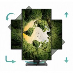 Monitor PRO MP275PGN E14 27 cali/LED/FHD/Zakrzywiony/144Hz/Czarny