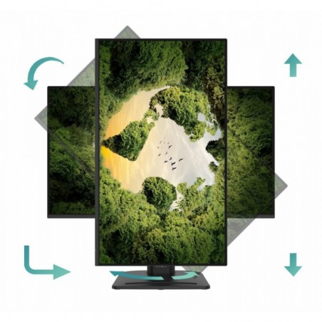 Monitor PRO MP275PGN E14 27 cali/LED/FHD/Zakrzywiony/144Hz/Czarny