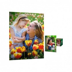 HP Everyday Glossy Photo Paper A4 100 sheet 200g/m²
