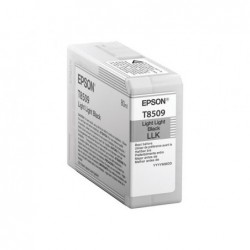 EPSON C13T850900 Tusz Epson T850800 photo light light black 80 ml SC-P800