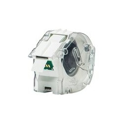 BROTHER CZ1002 Taśma Brother Continuous Paper Tape 12mm