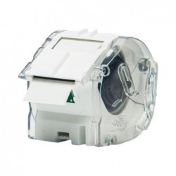 BROTHER CZ1004 Taśma Brother Continuous Paper Tape 25mm