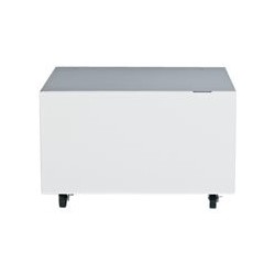 LEXMARK cabinet with roles C925 X925