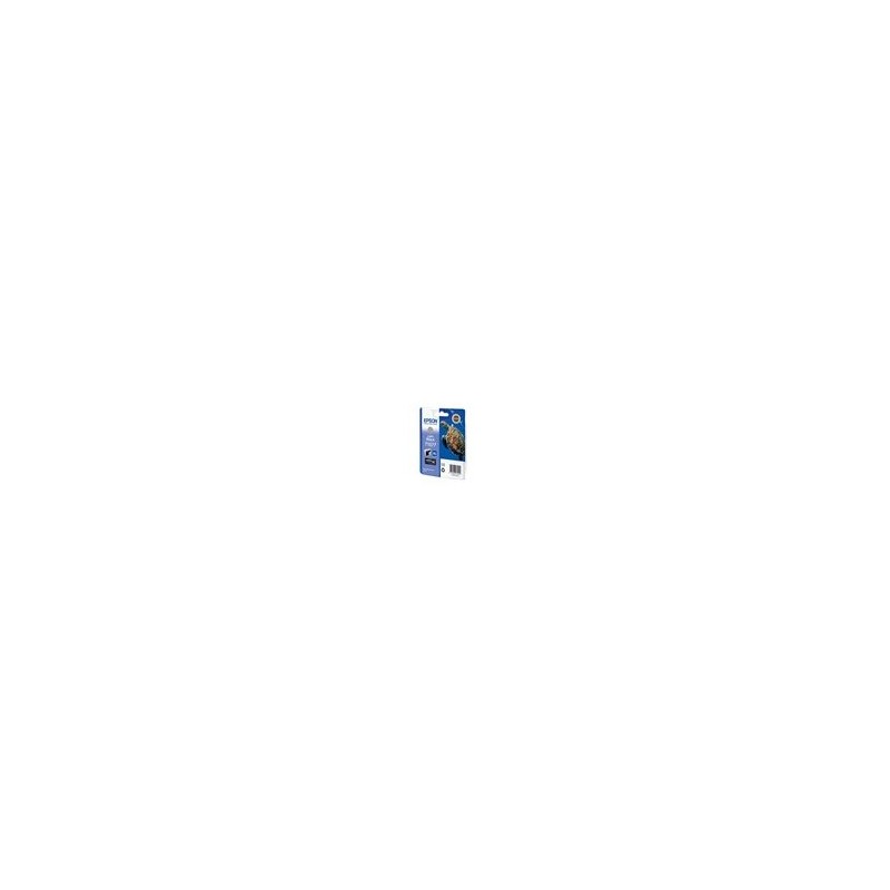 EPSON C13T15774010 Tusz Epson T1577 light black 25,9 ml R3000