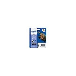 EPSON C13T15794010 Tusz Epson T1579 light light black 25,9 ml R3000
