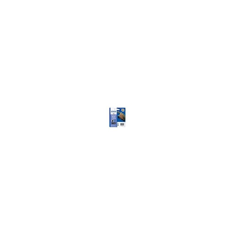 EPSON C13T15794010 Tusz Epson T1579 light light black 25,9 ml R3000