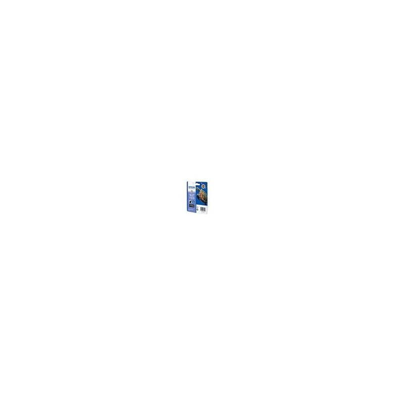 EPSON C13T15794010 Tusz Epson T1579 light light black 25,9 ml R3000