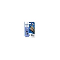 EPSON C13T15794010 Tusz Epson T1579 light light black 25,9 ml R3000