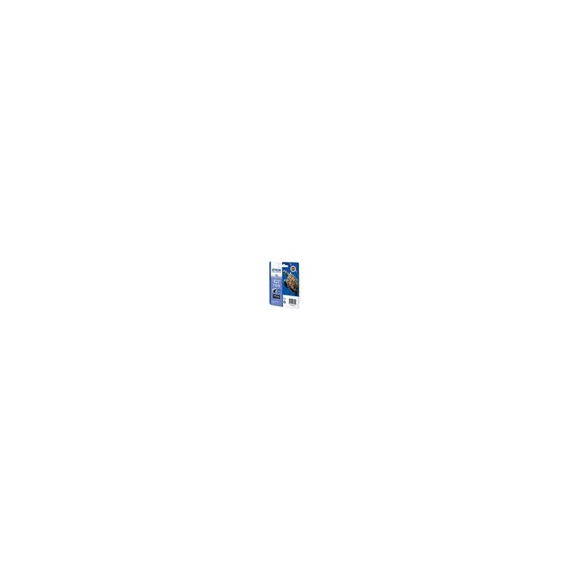 EPSON C13T15794010 Tusz Epson T1579 light light black 25,9 ml R3000
