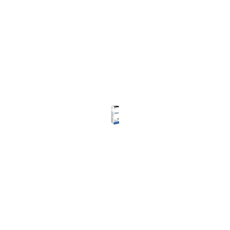EPSON C13T67314A Tusz Epson T6731 black 70 ml L800
