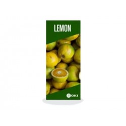 OKI FASTDISP A3 standing METAL 30x90CM