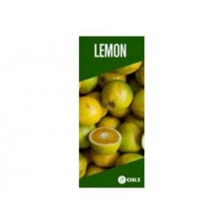 OKI FASTDISP A3 W-mounted METAL 30x141CM