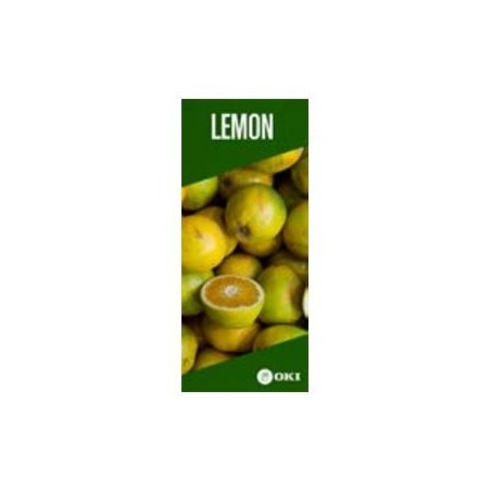 OKI FASTDISP A3 W-mounted METAL 30x141CM