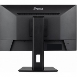 Monitor 24 cale XUB2493HSU-B7,IPS.HDMI.DP.2x2W.USBx2,300cd Monitor 24 cale XUB2493HSU-B7,IPS.HDMI.DP.2x2W.USBx2,300cd