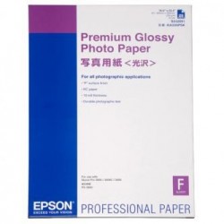 Epson Premium Glossy Photo Pa, C13S042091, foto papier, połysk, biały, Stylus Photo 890, 895, 1270, 2100, A2, 255 g/m2, 25 szt