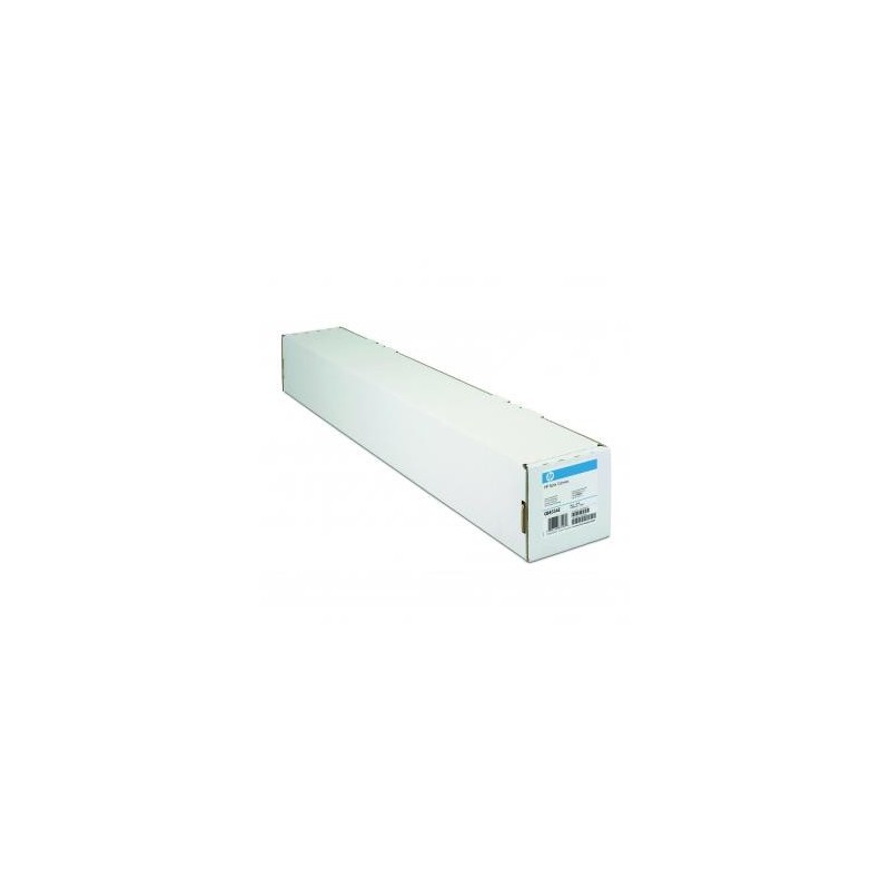 HP 1118/15.2/Professional Satin Photo Paper, satynowy, 44", Q8840A, 300 g/m2, papier, 1118mmx15.2m, biały, do drukarek atrament