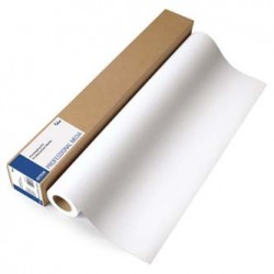 Epson 1524/30.5/Premium Glossy Photo Paper Roll, połysk, 60", C13S042136, 255 g/m2, papier, 1524mmx30.5m, biały, do drukarek a