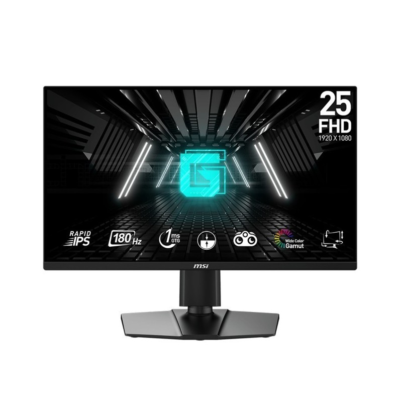Monitor G255PF E2 24,5 cala LED/FHD/Flat/180Hz/Black 