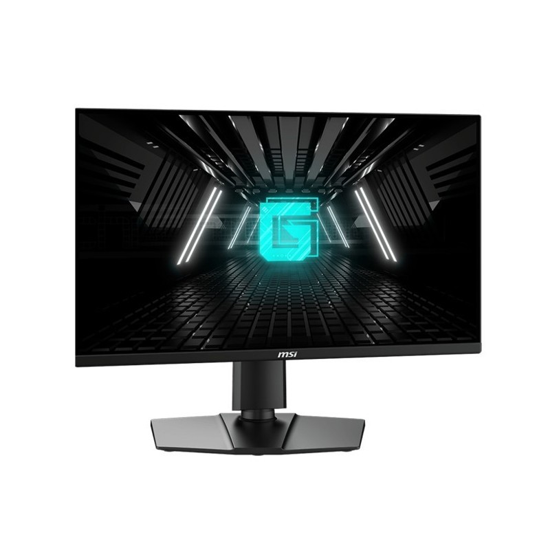 Monitor G255PF E2 24,5 cala LED/FHD/Flat/180Hz/Black 