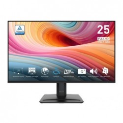 Monitor PRO MP251 E2 24.5 cala LED/FHD/Flat/120Hz/Black 