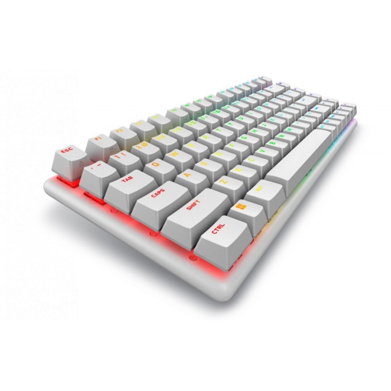 Klawiatura bezprzewodowa Alienware Pro US QWERTY Lunar Light Klawiatura bezprzewodowa Alienware Pro US QWERTY Lunar Light