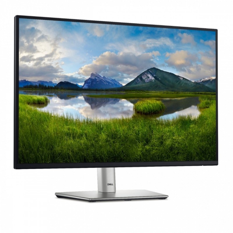 Monitor P2425 24 cale IPS 16:10 WUXGA/HDMI/USBC/DP/VGA/USB/3Y 