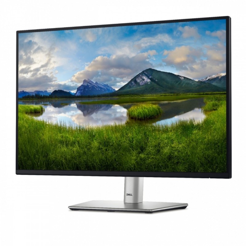 Monitor P2425 24 cale IPS 16:10 WUXGA/HDMI/USBC/DP/VGA/USB/3Y 