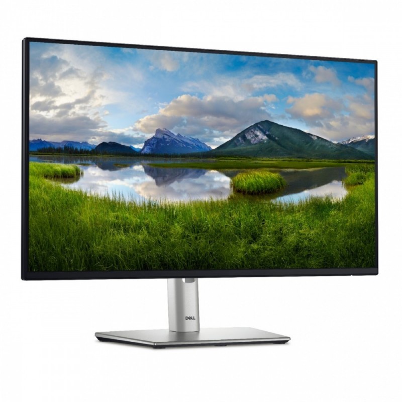 Monitor 24 cale P2425HE LED IPS 1920x1080/16:9/USBC/RJ45/HDMI/DP/USB/3Y 