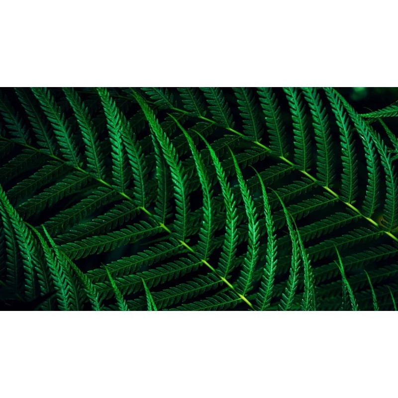 Monitor 23.8 cala 24B2G5200 IPS 100Hz HDMI DP Pivot Głośniki Monitor 23.8 cala 24B2G5200 IPS 100Hz HDMI DP Pivot Głośniki