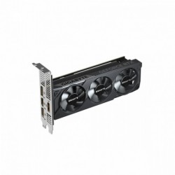 Karta graficzna GeForce RTX 5060 OC Low Profile 8G GDDR7 3DP/HDMI Karta graficzna GeForce RTX 5060 OC Low Profile 8G GDDR7 3DP/HDMI