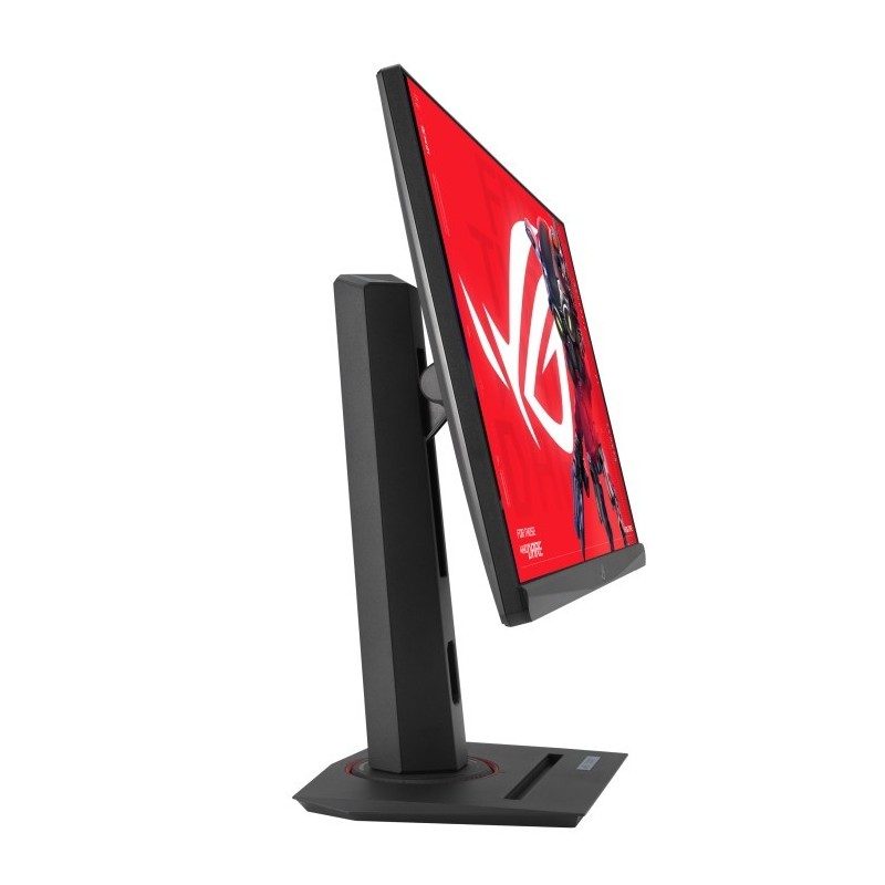 Monitor 25 cali XG259CMS F-IPS FHD 144Hz HDMI USB DP USB-C PIVOT Monitor 25 cali XG259CMS F-IPS FHD 144Hz HDMI USB DP USB-C PIVOT